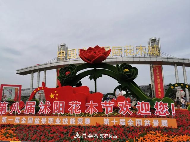 第八屆中國(guó)·沭陽(yáng)花木節(jié)開(kāi)幕，參觀盆景界的“奧林匹克”(圖1)