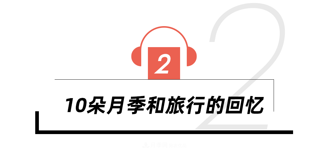 陳丹燕：不能旅行的日子，她開始與月季對話(圖8)
