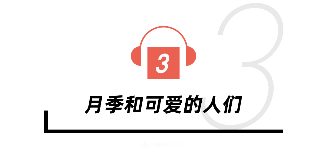 陳丹燕：不能旅行的日子，她開始與月季對話(圖11)