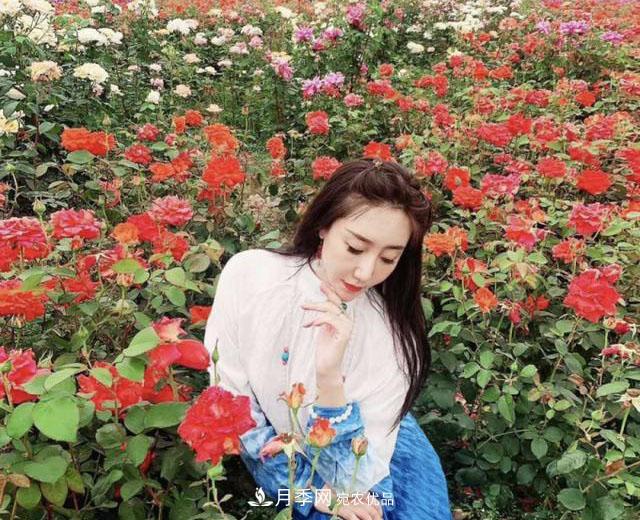 中國抖起來國慶網(wǎng)紅打卡地！蘇州月季花海等你來……(圖7)