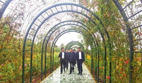紀(jì)念南水北調(diào)南陽深厚友誼，北京京宛友誼月季園開園(圖2)