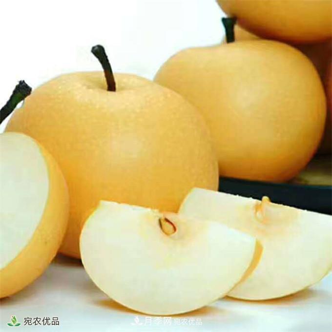 南水北調(diào)有機(jī)寶盈蜜梨，南陽淅川特產(chǎn)水果批發(fā)(圖4)