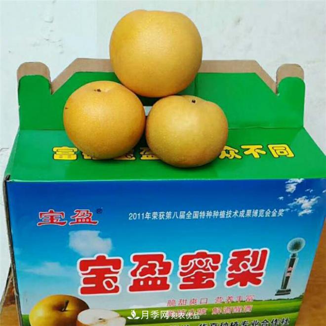 南水北調(diào)有機(jī)寶盈蜜梨，南陽淅川特產(chǎn)水果批發(fā)(圖3)