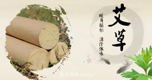 南陽(yáng)仲景艾草產(chǎn)業(yè)占全國(guó)70%份額，年產(chǎn)值10億元，叫響世界？(圖1)
