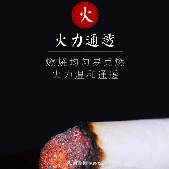 南陽宛艾五年陳10:1真實(shí)比例艾條艾柱廠家直銷批發(fā)(圖5)