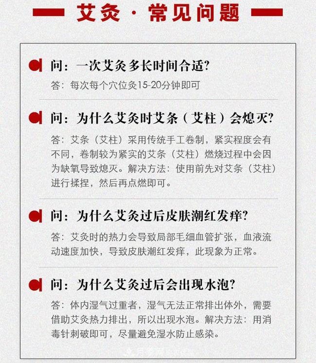 南陽宛艾五年陳10:1真實(shí)比例艾條艾柱廠家直銷批發(fā)(圖8)