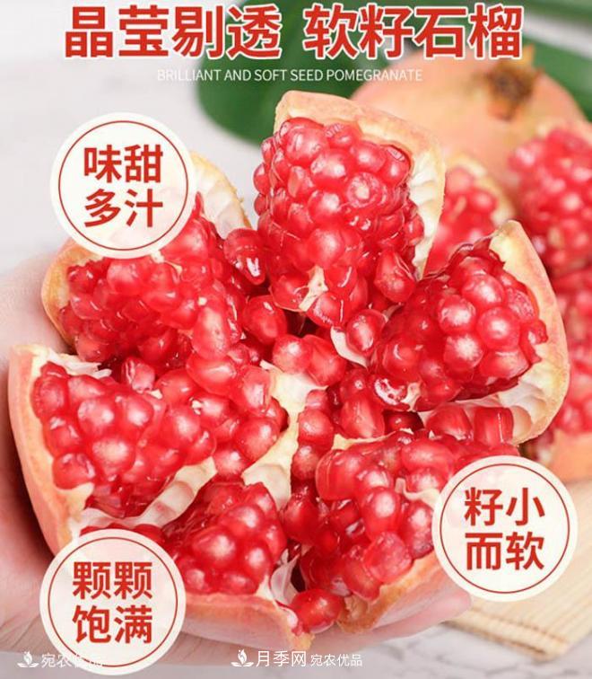 淅川突尼斯軟籽石榴基地批發(fā)價格，好水果(圖1)