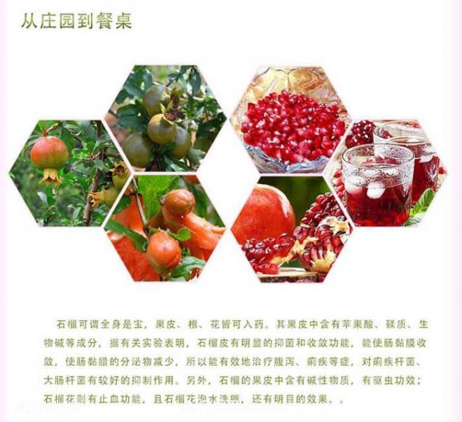 淅川突尼斯軟籽石榴基地批發(fā)價格，好水果(圖2)