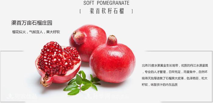淅川突尼斯軟籽石榴基地批發(fā)價格，好水果(圖3)