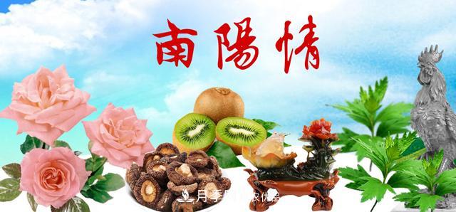 南陽(yáng)名優(yōu)特農(nóng)產(chǎn)品，中國(guó)之鄉(xiāng)譽(yù)響中國(guó)(圖1)