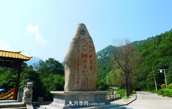 河南五個(gè)綠色“海洋”，在20度的森林中呼吸，讓你流連忘返(圖1)
