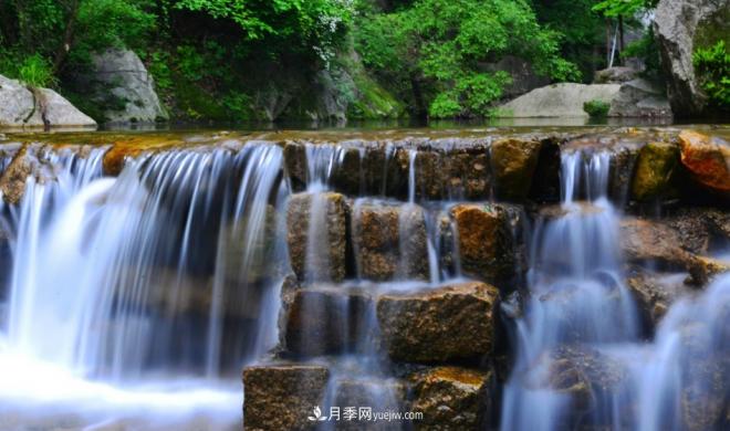 河南五個(gè)綠色“海洋”，在20度的森林中呼吸，讓你流連忘返(圖2)