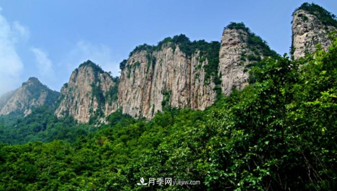 河南五個(gè)綠色“海洋”，在20度的森林中呼吸，讓你流連忘返(圖3)