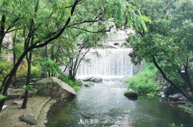 河南五個(gè)綠色“海洋”，在20度的森林中呼吸，讓你流連忘返(圖4)