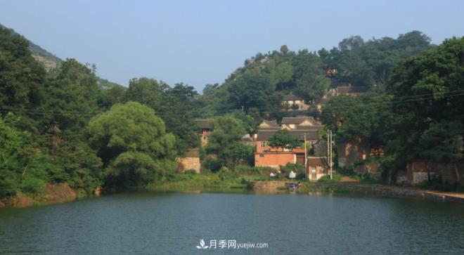 河南五個(gè)綠色“海洋”，在20度的森林中呼吸，讓你流連忘返(圖7)