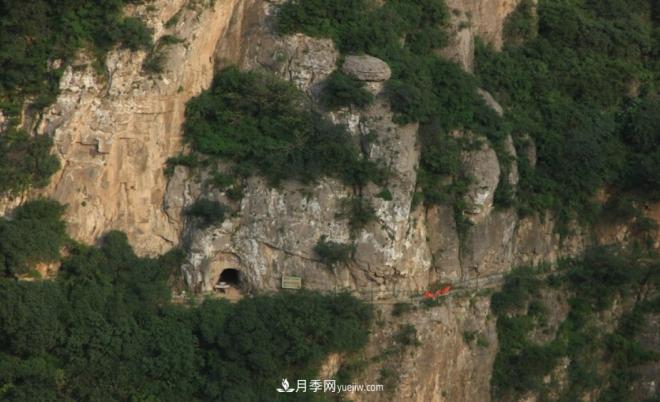 河南五個(gè)綠色“海洋”，在20度的森林中呼吸，讓你流連忘返(圖8)