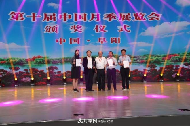 南陽月季在安徽第十屆中國月季展覽會(huì)上大放異彩(圖5)