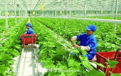 南陽有機農(nóng)業(yè)全國**是怎樣煉成的？南水北調(diào)水源地生態(tài)農(nóng)業(yè)見聞(圖1)