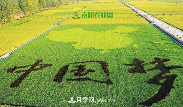 南陽2019年農(nóng)業(yè)十佳產(chǎn)業(yè)基地和扶貧電商都有誰？(圖1)