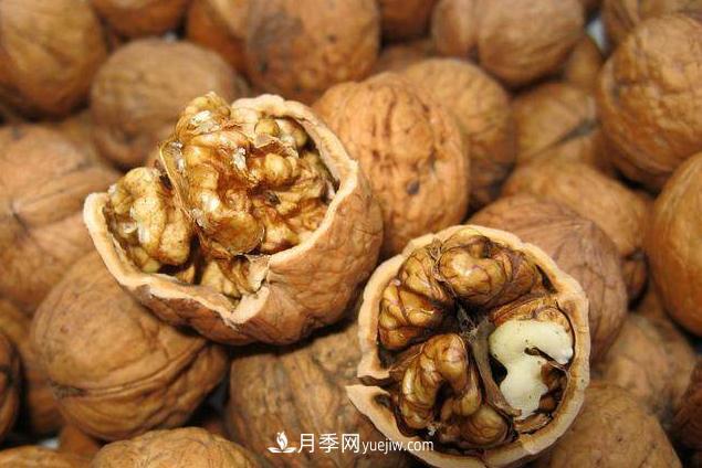 來南陽旅游有什么不得不帶走的十大名優(yōu)特產(chǎn)？(圖5)