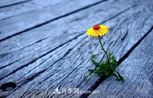 有一種努力叫：以為自己很努力，原來(lái)是在刷存在感(圖1)