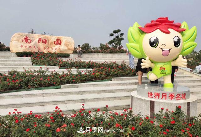 退林還耕政策下不要慌，南陽(yáng)苗木人需要做好這三件事(圖1)