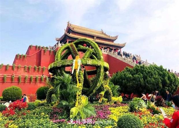 開封第38屆菊花文化節(jié)盛大開幕美圖來(lái)襲(圖1)