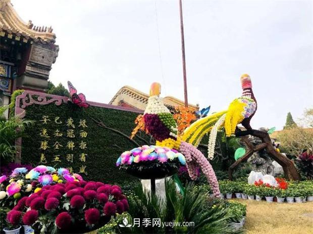 開封第38屆菊花文化節(jié)盛大開幕美圖來(lái)襲(圖2)