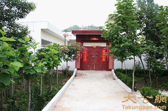 南陽南召：玉蘭苗木產(chǎn)業(yè) 飄香名揚天下(圖5)