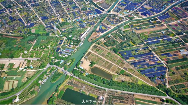 廣東省中山市橫欄鎮(zhèn)，這個(gè)3萬畝的花木之鄉(xiāng)，畝均年產(chǎn)值竟達(dá)10萬元(圖8)