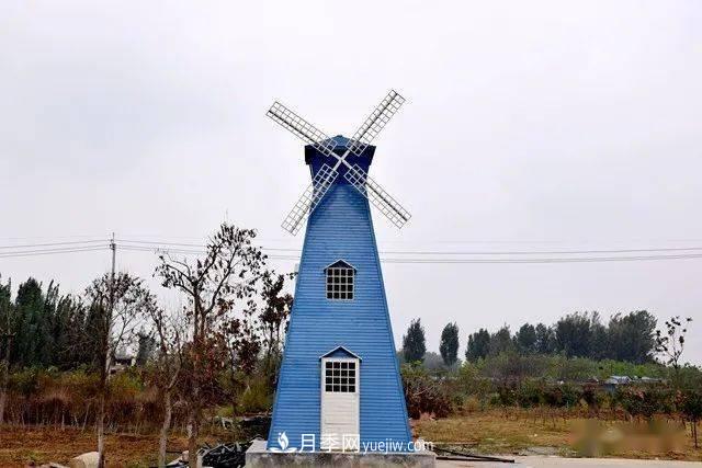山東滕州北辛街道建成一座月季花海，總占地100畝真漂亮！(圖11)