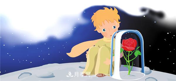 月季為什么是花中皇后？聽月季網(wǎng)講故事(圖2)