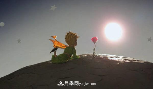 月季為什么是花中皇后？聽月季網(wǎng)講故事(圖3)