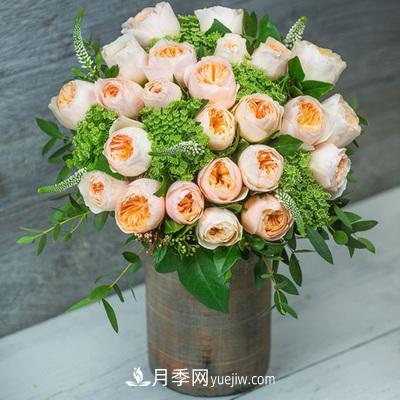 切花月季的十個養(yǎng)護技巧，全了(圖1)