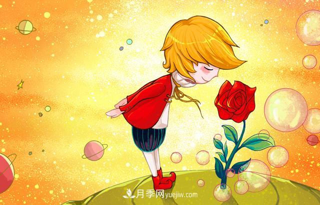 小王子愛的是“月季花”？(圖1)