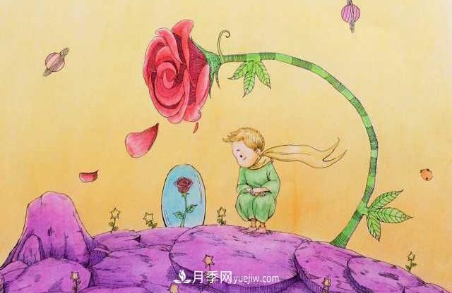 小王子愛的是“月季花”？(圖3)