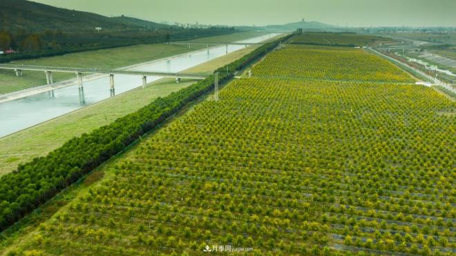 南水北調(diào) 秋來渠首 秋綠淅川(圖2) 南水北調(diào) 秋來渠首 秋綠淅川(圖2)