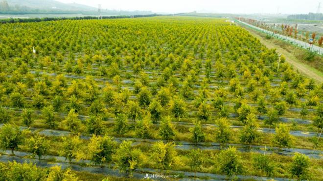 南水北調(diào) 秋來渠首 秋綠淅川(圖4) 南水北調(diào) 秋來渠首 秋綠淅川(圖4)