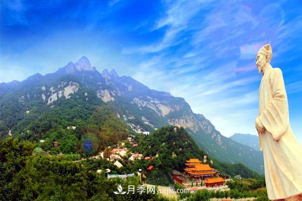 一縣一品公益助農(nóng)，河南南召特色農(nóng)產(chǎn)品辛夷(圖2)