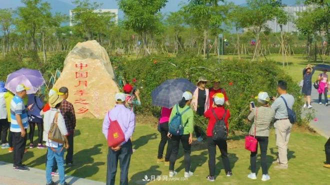 立冬已過，小雪將至~ 肇慶新區(qū)月季園景色獨好、風(fēng)光別致(圖3)