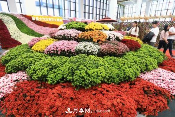 中國花卉協(xié)會(huì)綠化觀賞苗木分會(huì)介紹(圖1)
