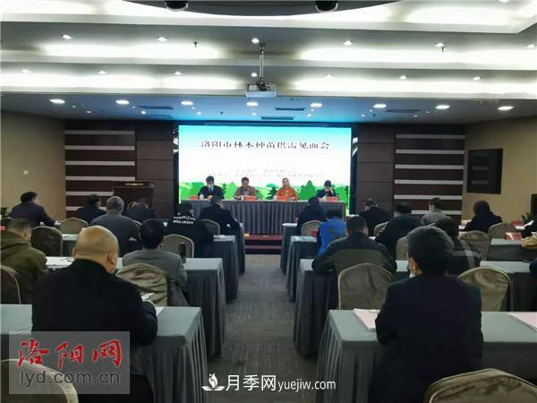 2.2億株！洛陽市可供今冬明春國土綠化使用的苗木種類齊全(圖1)