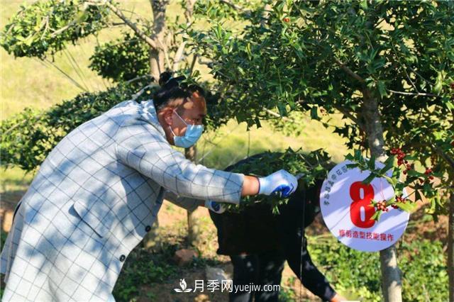 擦亮生態(tài)品牌助力鄉(xiāng)村振興，湖北孝昌苗木花卉產(chǎn)業(yè)發(fā)展綜述(圖2)