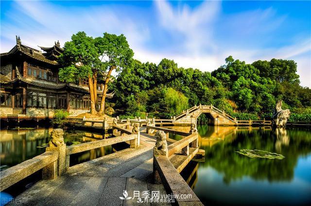 園林綠化樹苗木的培育技術(shù)，效益可觀！(圖1)
