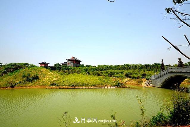 江西南昌天香園走紅，有3萬余的盆景，是南昌的“花卉之源”(圖2)