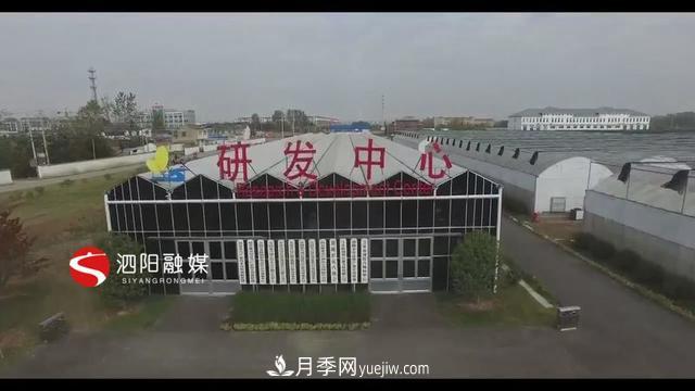 江蘇泗陽(yáng)新境界花卉基地：“花樣”產(chǎn)業(yè)助力鄉(xiāng)村振興(圖1)
