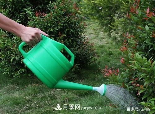 花卉栽培的六大基本工具，你準備好了嗎？(圖2)
