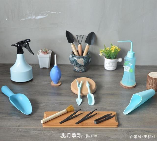 花卉栽培的六大基本工具，你準備好了嗎？(圖1)