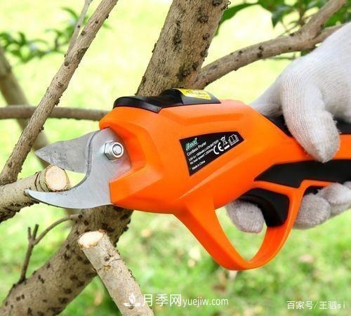 花卉栽培的六大基本工具，你準備好了嗎？(圖4)