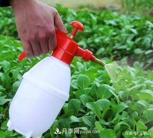花卉栽培的六大基本工具，你準備好了嗎？(圖3)